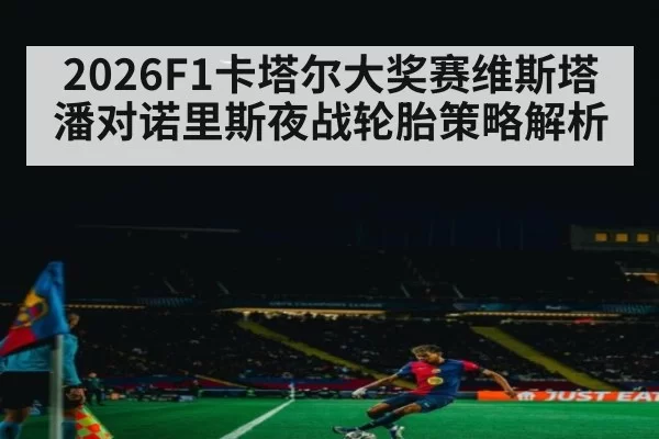 2026F1卡塔尔大奖赛维斯塔潘对诺里斯夜战轮胎策略解析